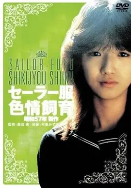 经典佳片 第七个雨夜 海报